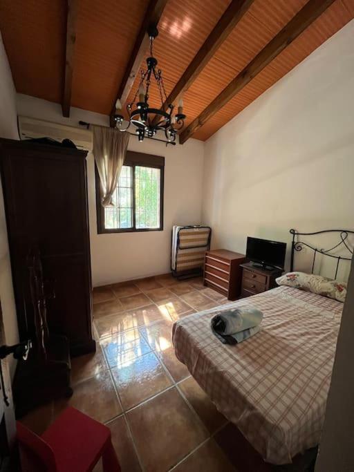 Farmhouse Surrounded By Centenary Olive Trees Olías Exterior foto