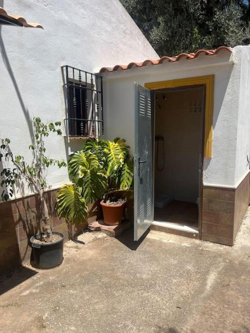 Farmhouse Surrounded By Centenary Olive Trees Olías Exterior foto